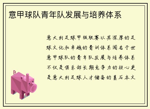 意甲球队青年队发展与培养体系